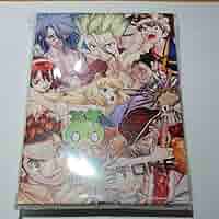 Dr.STONE ジャンフェス　キャンバスボード Amazon.co.jp: ドクターストーン フルカラーアートボード